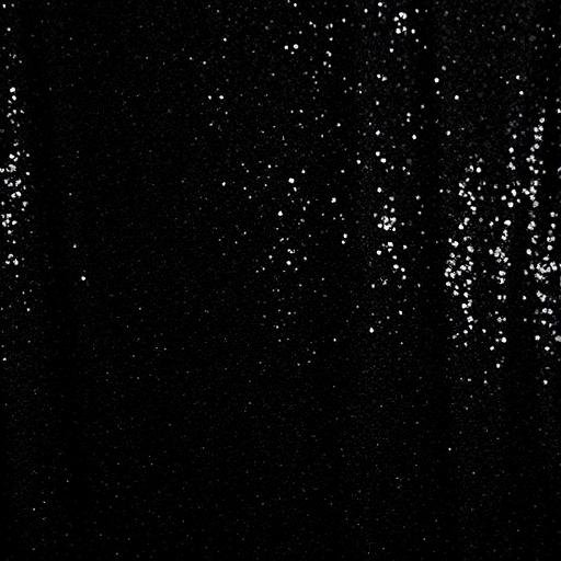 Black Sequin